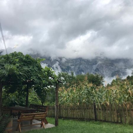 Marash Rrgalla Guesthouse เธทธ์ ภายนอก รูปภาพ