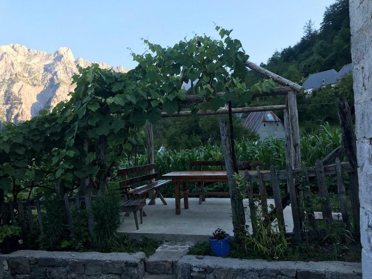 Marash Rrgalla Guesthouse เธทธ์ ภายนอก รูปภาพ